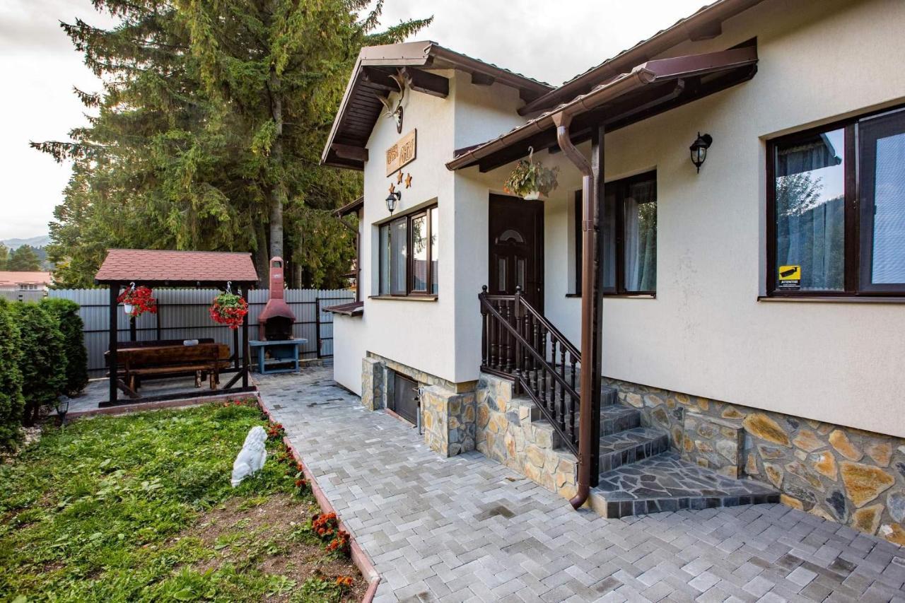 Casa Andy Hotel Buşteni Buitenkant foto
