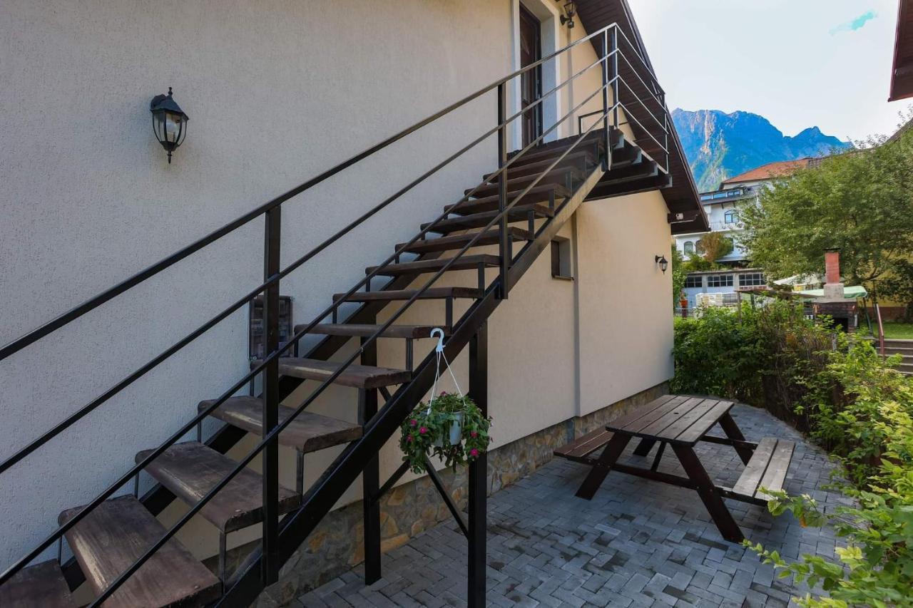 Casa Andy Hotel Buşteni Buitenkant foto
